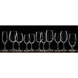 D&V Valore Lead Free, Break-Resistant, European Crystal Glass, Champagne Flute, 8 Oz