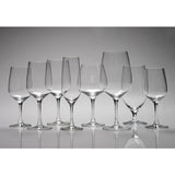 D&V Valore Lead Free, Break-Resistant, European Crystal Glass, White Wine or Tasting Glass, 10.7 Oz, Set of 6